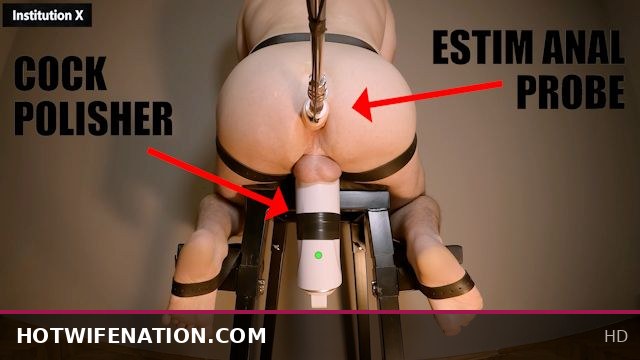 Experiment Bull Milking with Cock Polisher and Intense Anal Probe Play
