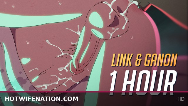 Link and Ganon Animated Hour-Long Loop - Epic Adult Fantasy Showdown