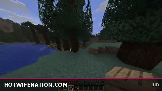 Minecraft Adventures Featuring My Journey to Perfect Straight Teeth