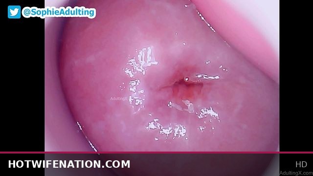My Sweet Pink Donut Loves Being Filled & Creamed